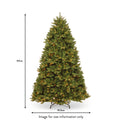 Newberry Spruce Warm White LED 6ft Tree dimensions