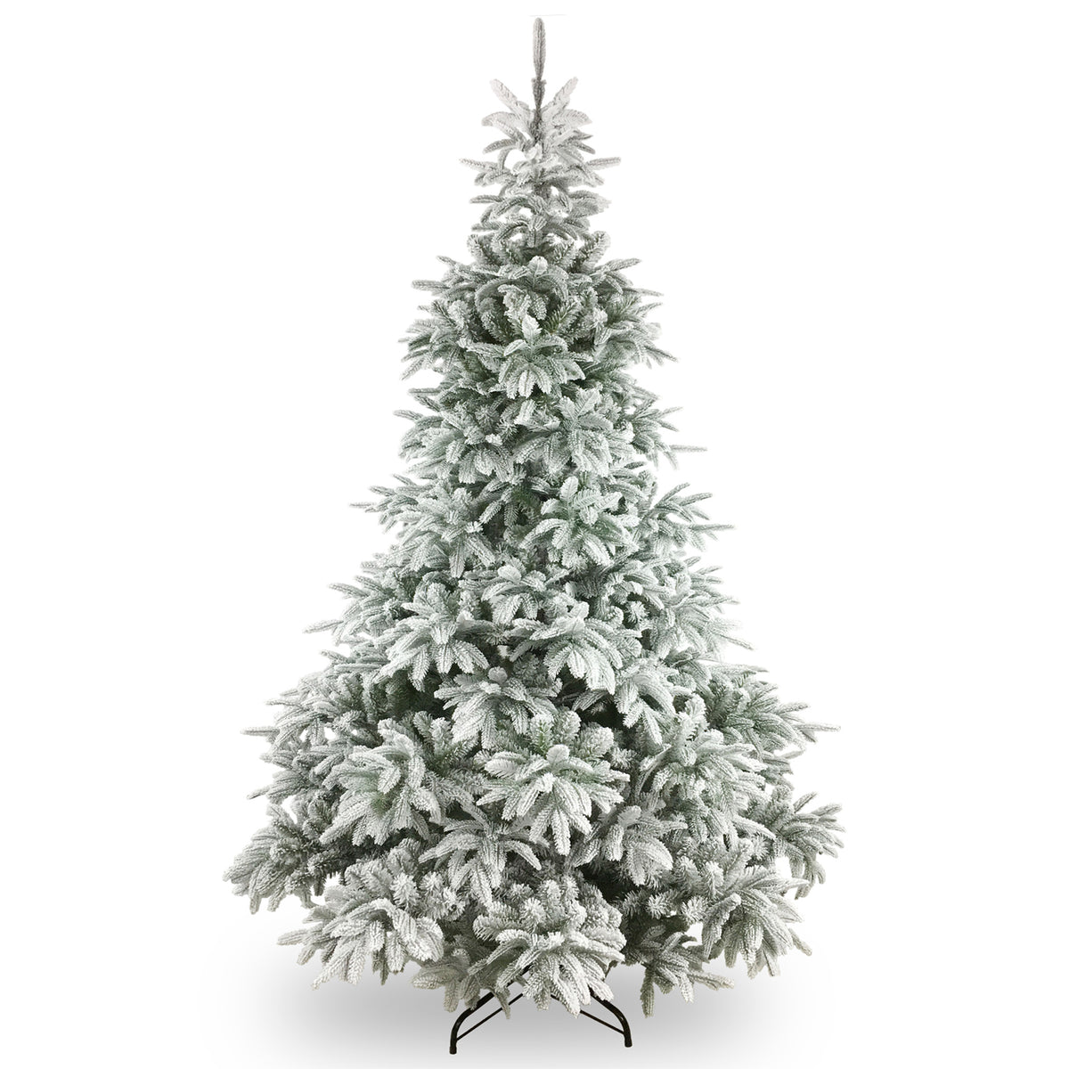 Frosted Andorra Fir 7ft Tree from Roseland
