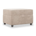 Pippa Platinum Velvet Small Storage Footstool from Roseland Furniture