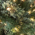 Tacoma Pine Pencil Tree