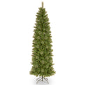 Tacoma Pine Pencil Tree from Roseland
