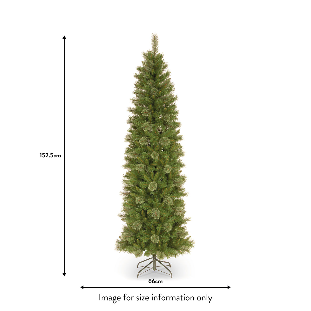 Tacoma Pine 5ft Pencil Tree dimensions