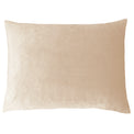 Festive Donkey Polyester Cushion