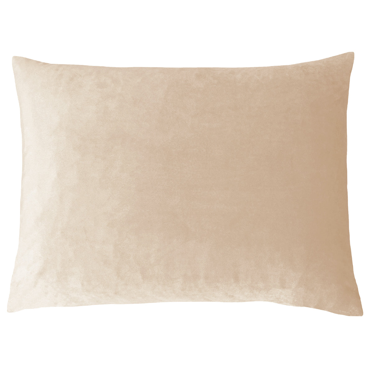 Festive Donkey Polyester Cushion