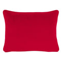 Festive Robins Chenille Polyester Cushion